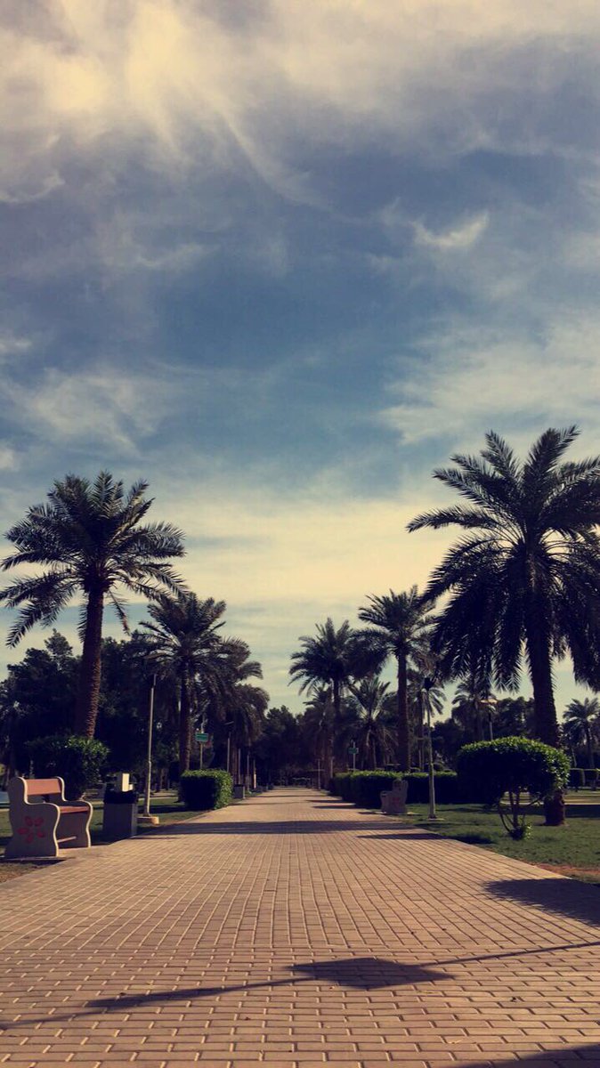 kuwaitisgreen's tweet photo. ضرورة وجود الاراضي الخضراء في المدن الحضارية من ما توفره من راحة وجمال للمدينة https://t.co/dnsiXWyd4f
