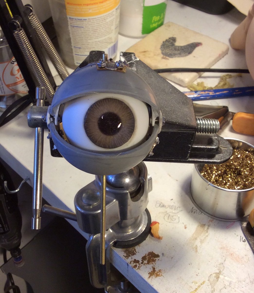 PeterPullon's tweet image. Eye eye .....