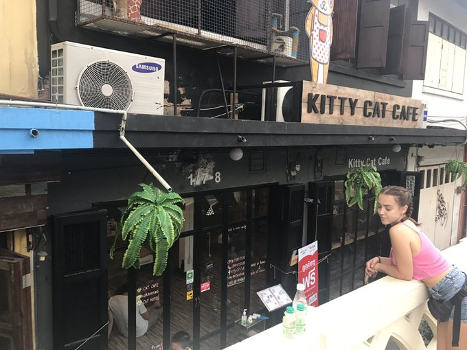 Hola chicos 😌🙋🏻 https://t.co/6oyuumf2sC<a href="/tag/webcams"class="tags"><span>#webcams</span></a>