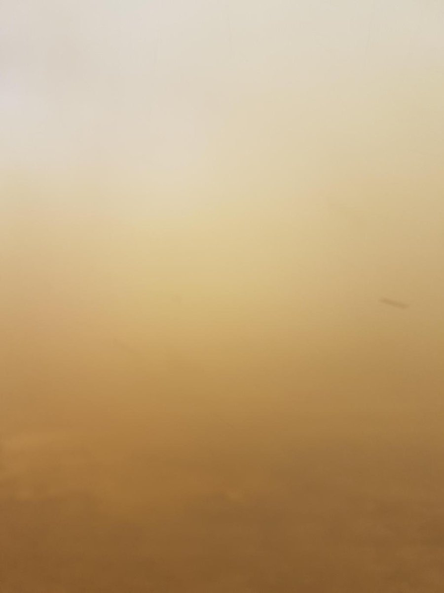 Newall Hunter tweet media