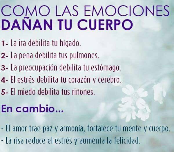 SitiosArgentina's tweet image. #FelizDomingo