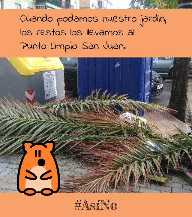 AlcalaAmable's tweet photo. #FelizDomingo
Puedes que arregles el patio, o te deshagas de lo que no uses
⛔¡No lo tires al contenedor! #AsíNO 
🚯¡No es su sitio, y lo sabes! #AsíNO 
Para encontrar el Punto Limpio de #AlcaládeGuadaíra, te damos las indicaciones en nuestra web https://t.co/2GFQLCkzPp
#ecocosas https://t.co/nILrnW1EXZ