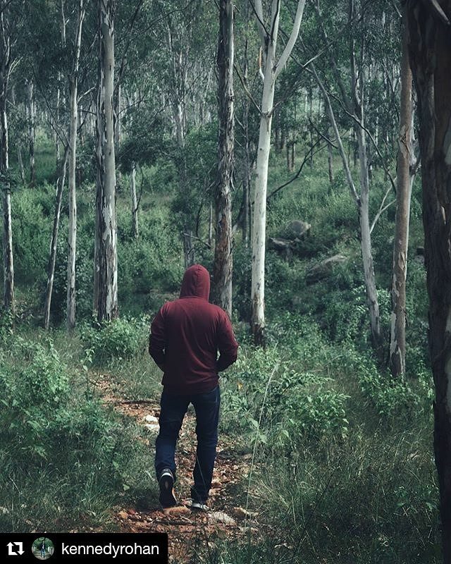 bengaloorism's tweet photo. #Repost @kennedyrohan
・・・
Lone ranger
.
.
.
#forest #wildernessculture #hiking #igers #karnataka #bengaluru #steep #thickforest #lowlights #outinwild #woods #satisfaction #mothernature #sobangalore #sundayvibes #deepdownlow #igersofbangalore #nikon … https://t.co/S4vaJjdxeh https://t.co/v7FdFdqAkc