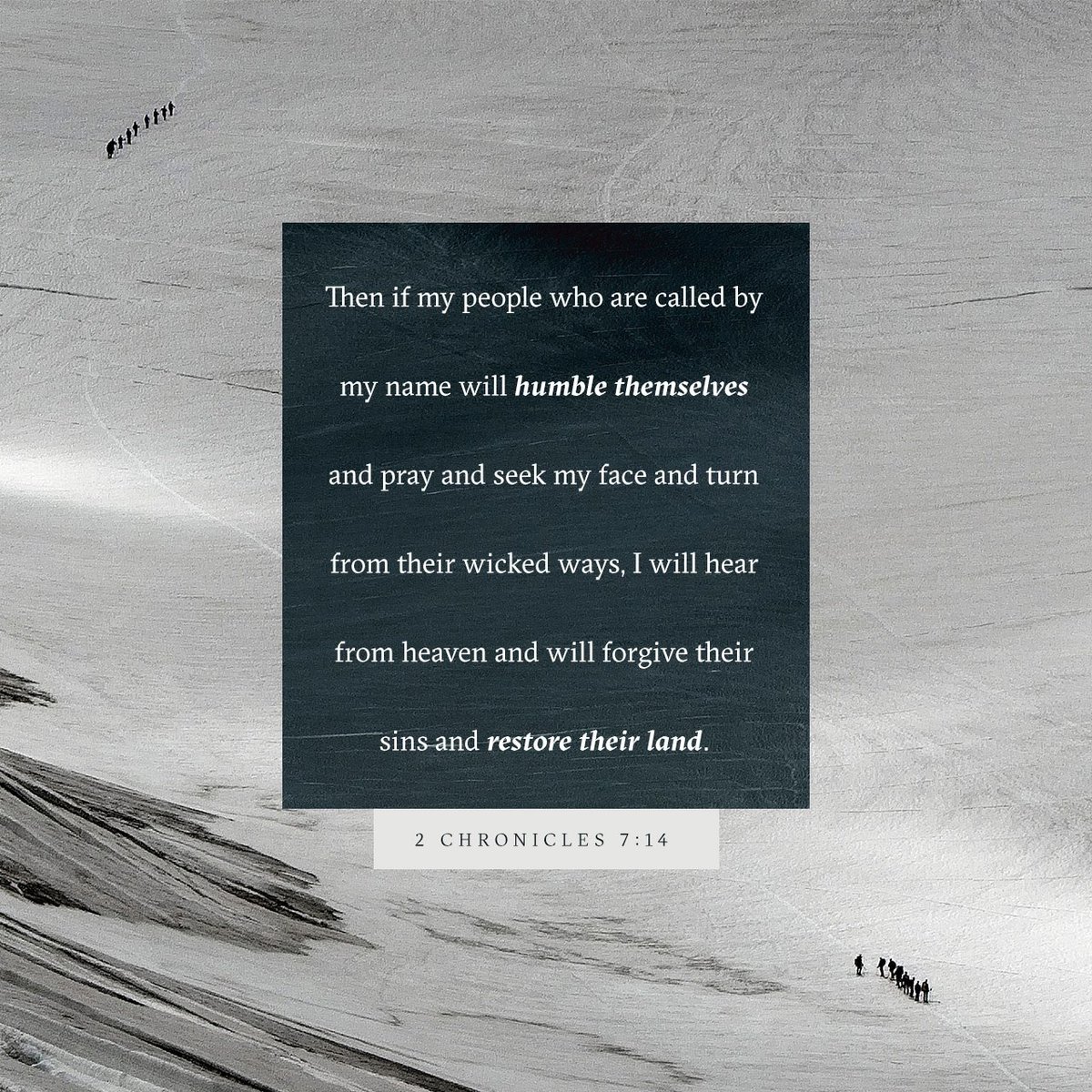 Daily_Bible tweet picture