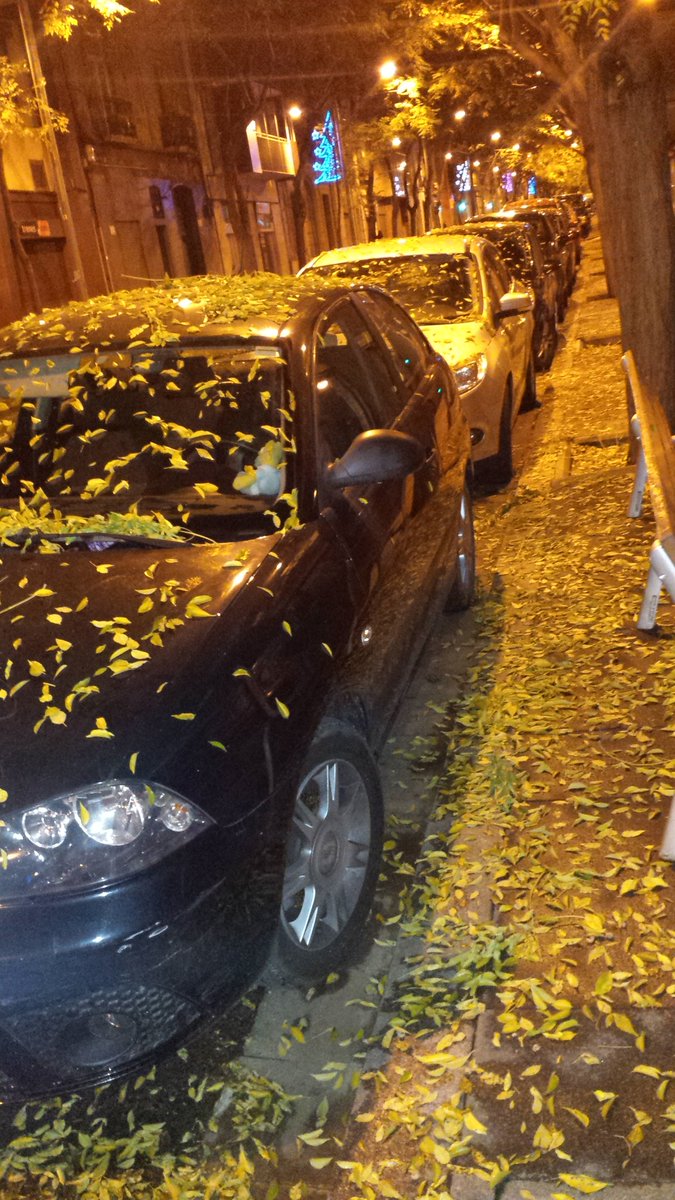 heidisocias's tweet photo. Després de la pluja 25/11 a la #Sarera #fulles #tardor @ARAmeteo @meteo8aldia @btveltemps @tv3cat @AlfredRPico @SoniaPapell @AEMET_Cat @eloicordomi #324eltemps @alfons_pc @BarcelonaMeteo @MeteoMauri @Fran_Lorenzo95 @jordicampos @margab61 @jaumegomab @javioru @amolist @llamp_ https://t.co/yFOo69gyRc