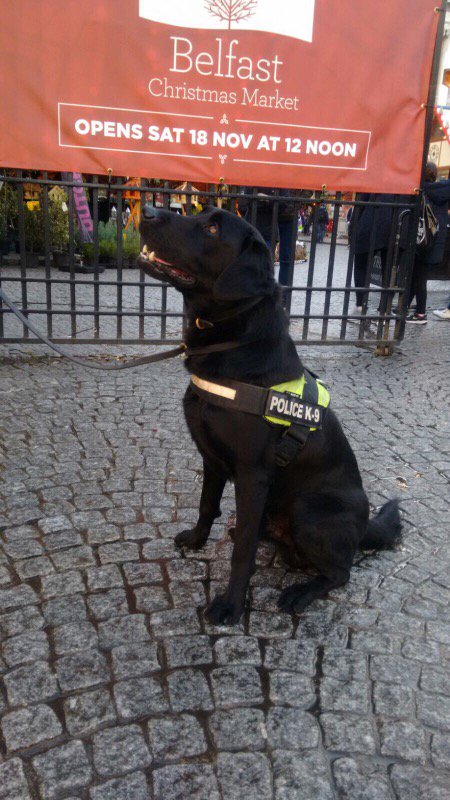 PSNIBelfast's tweet photo. City Centre Neighbourhood Police were joined by PD Jasper during the week. He is a great all rounder who is trained to detect cash, drugs and explosives.
Thanks to the PSNI Dog Unit for their support in #keepingpeoplesafe
#citycentreteam
#psnidogsection https://t.co/7Onw6arjuR