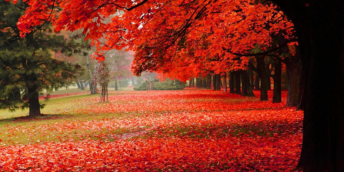 Janet Duroy (@janet_duroy) on Twitter photo 