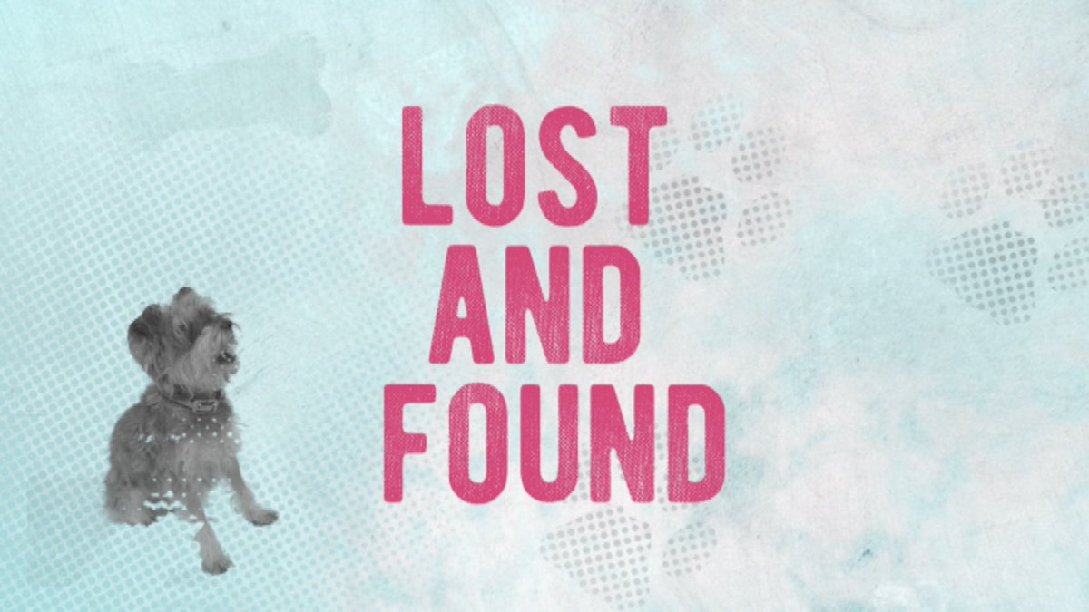DogLostUK's tweet photo. Just one more sleep until heartwarming stories of #lostandfound dogs from @doglostuk &amp; @dogstrust on @channel4 at 3pm Monday. https://t.co/M2g4wS9FH1