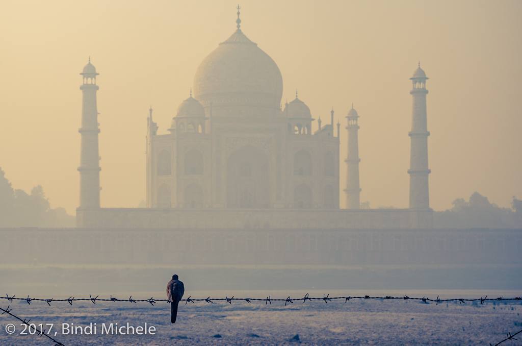 BindiMichele's tweet photo. Taj Mahal, Agra - Uttar Pradesh (India)  #photooftheday  #photoofday  #tajmahal #agra #worldplaces #photographer #foto #cool #amazing #TagsForLikes #TFLers  #instagood #trip #holiday #india #art_bind #vacanze #viaggi #architecture #worldcaptures #beautif… https://t.co/3Wmg0EyJTb https://t.co/deCeGvVMBo