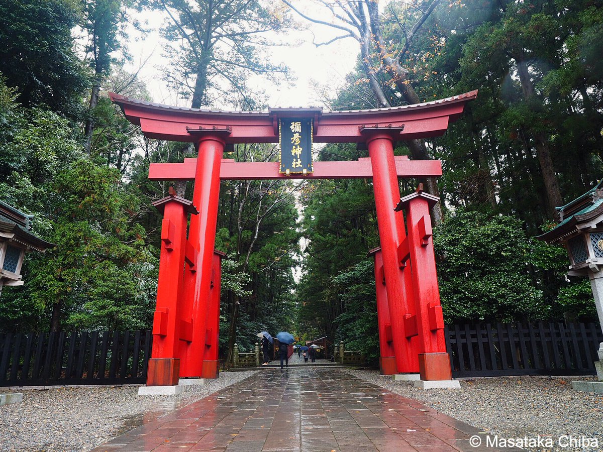 写真家 千葉 真隆 弥彦神社 弥彦 新潟県西蒲原郡弥彦村弥彦にある神社 式内社 名神大社 越後国一宮 空 Sky Skylovers 弥彦 弥彦神社 鳥居 新潟 雨 Yahiko 傘 Umbrella Scenery Skyviewers オリンパス Olympus 瑞光 Zuiko Omd