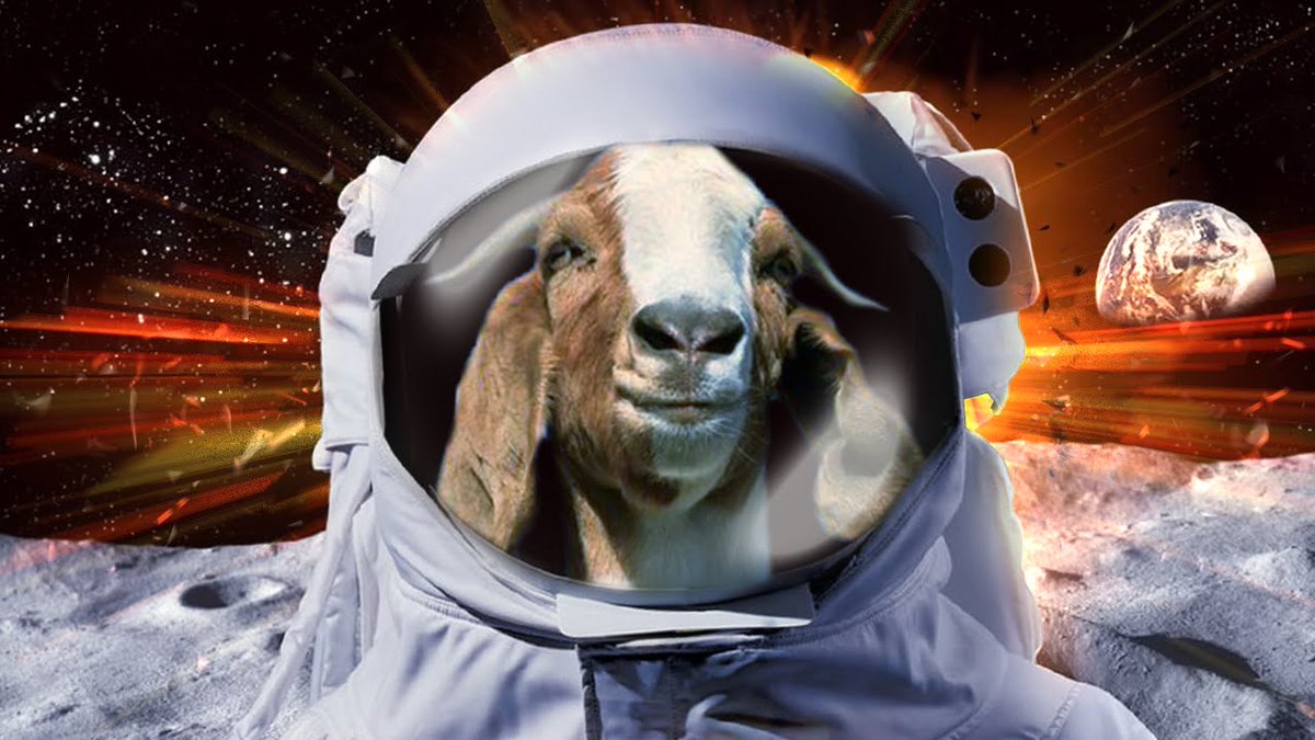 varndeangoats's tweet photo. @WandsworthDD @askalangoat @AndyTheChiminea Thing #goatsinspace https://t.co/B7gHXzAiuW