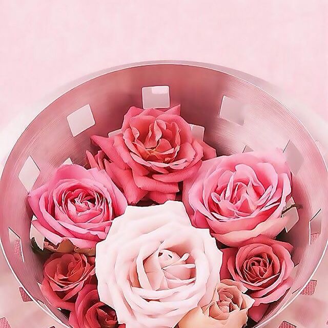 Sar8na's tweet photo. قال تعالى: (.. إِنْ أَحْسَنتُمْ أَحْسَنتُمْ لِأَنفُسِكُمْ ..)

هناك مقوله جميله تقول :
كلما أعطيت بلا مقابل 
كلما رزقت بلا توقع 
أعمل الخير بصوت هادئ 
فـــ غداً يتحدث عنك 
بــ صوت مرتفع https://t.co/7FJGLsgpBa