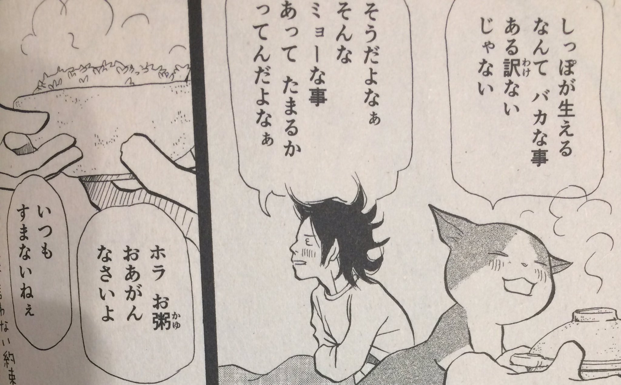 岡井ハルコ Dxねこぱんち 江の島ワイキキ食堂 傑作集が明日 発売されます コンビニに並びます 読者様にご好評いただいた16話に加え 単行本未収録のカラー3p そして 胡原おみさん 千里ちひろさん 晏芸嘉三さんによるトリビュート作品 素敵なんです