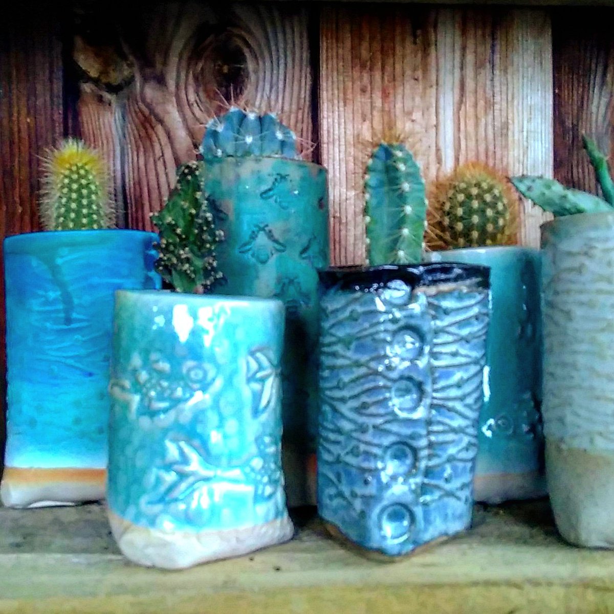 BudGardenCentre's tweet photo. I'm selling my Xmas trees, #locallymade holly wreaths, potted bulbs, houseplants &amp; UK-made-gardening-gifts at @GRUBMCR on 2nd December! The garden centre will be open as usual.
#intwoplacesatonce #idontdoitoften https://t.co/2u7R8Z3BCW