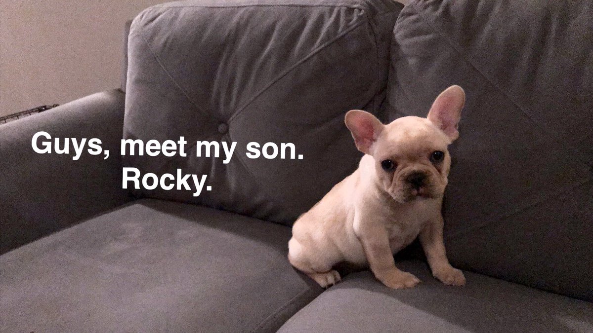 Jake Cox tweet media