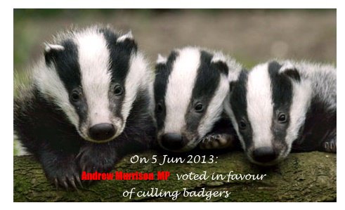 SWWiltsLabour's tweet photo. @LabourNorthWilt @CalneLabour @JGray So did @AWMurrison as well as the badger cull!
#ToriesOut
#murrisonOut https://t.co/eFSBKGHPA2
