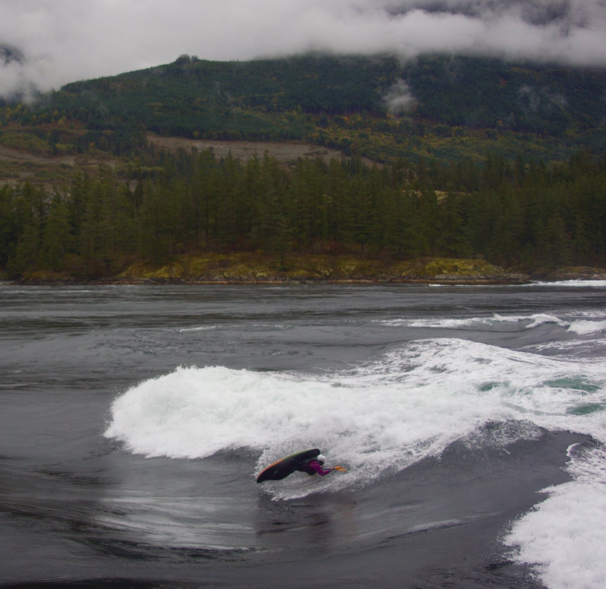 I posted a new blog with photos and a video from #skookumchuck Elainecampbellkayaking.com #whitewater #kayaking #bc #seals #sealions #freestyle