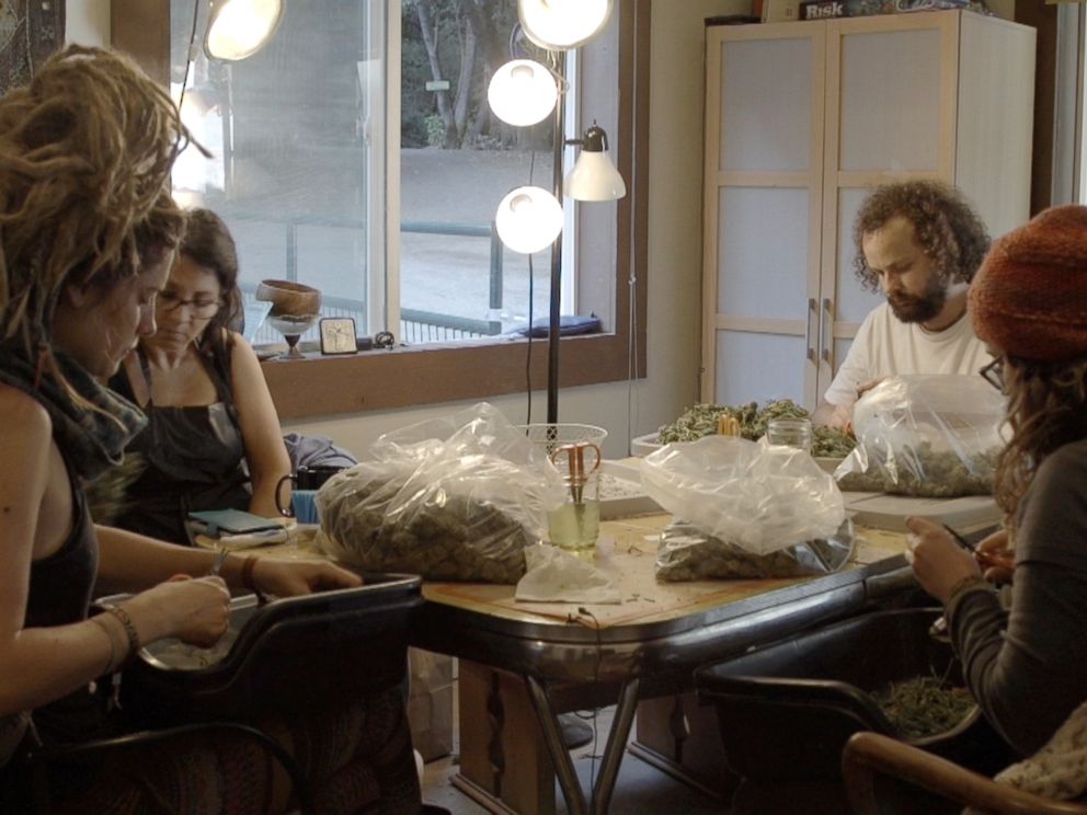 ForMedical's tweet image. We sell top grade medical marijuana wax and cannabis strain  you should be 100% Guaranteed Satisfaction All of our medical cannabis products are lab-tested for safety and potency,and delivery orders are backed by  100% guarantee.Contact Information EMAIL:huggensk@gmail.com