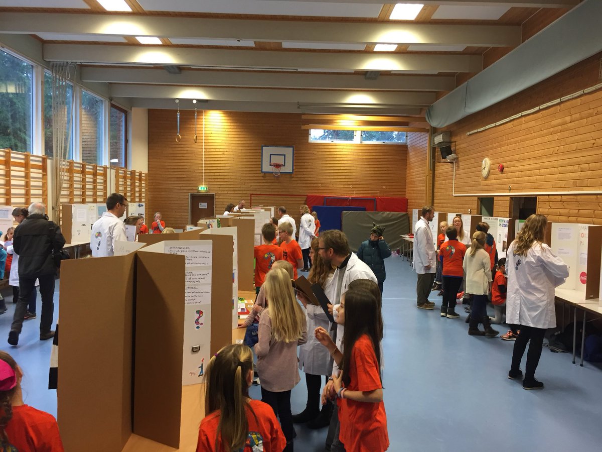 LOOPS project tweet media