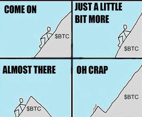 cryptojogi's tweet image. 