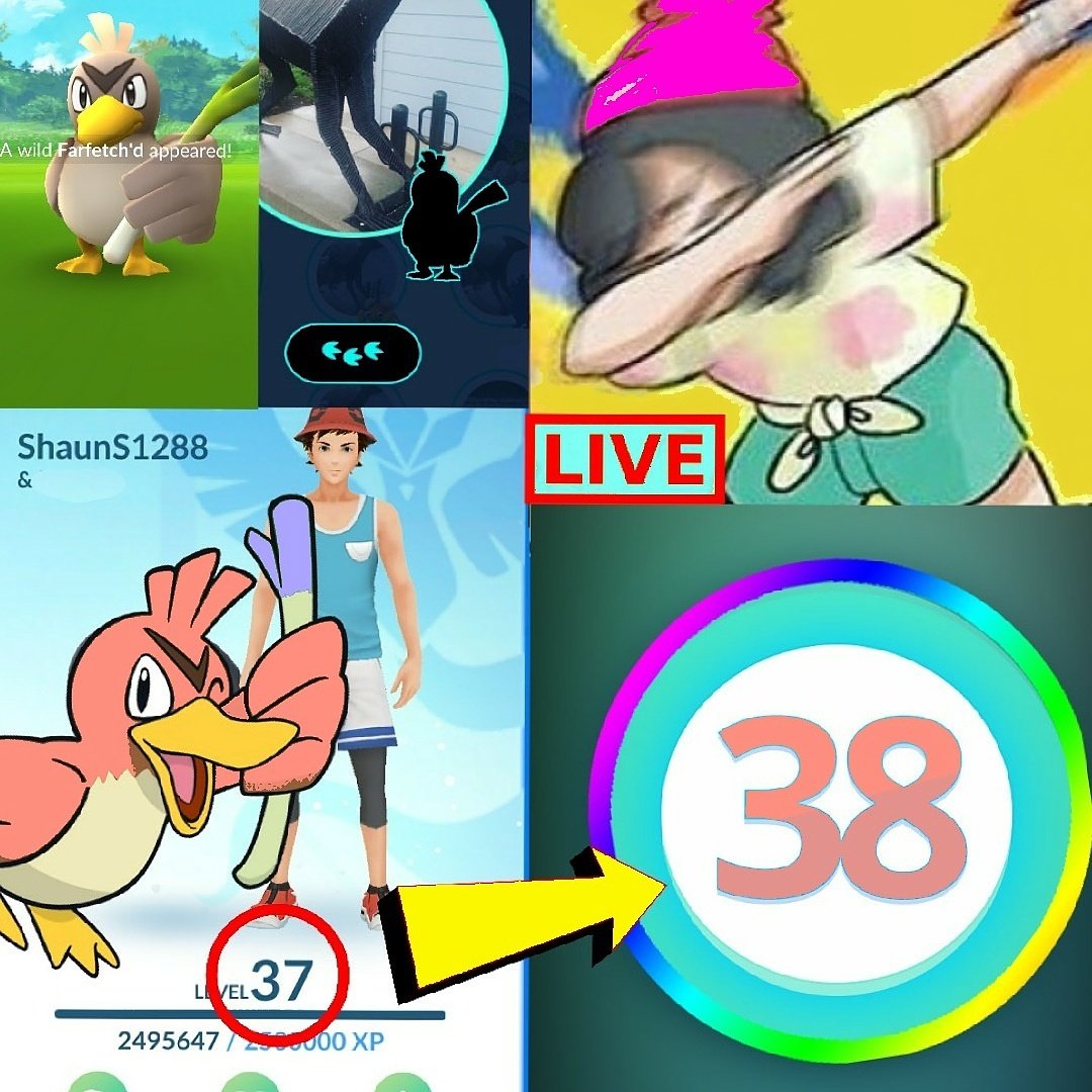 shauns1288's tweet photo. New Livestream Coming Tonight or Tomorrow Gonna be an EXCITING ONE!! Hitting LEVEL 38 + Adding Farfetch'd to the Pokedex! ππππππ―π―ππππππ #pokemongo #Limit3dArmy #DabsAllDay #HittingLevel38 #HopeToSeeYouAll #FarfetchdAddedToPokedex #PokemonGlobalChallenge https://t.co/nxmrW9qES8