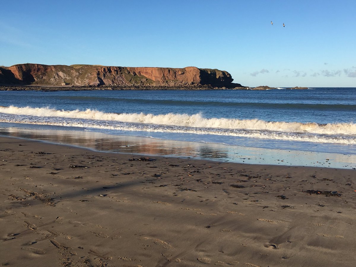 soosydee's tweet photo. Beautiful day for a wander to #Eyemouth with @Thebroxibear - Topped off with perfect fish and chips for lunch @Giacopazzis #couldbesummer https://t.co/T1NqcK97xP