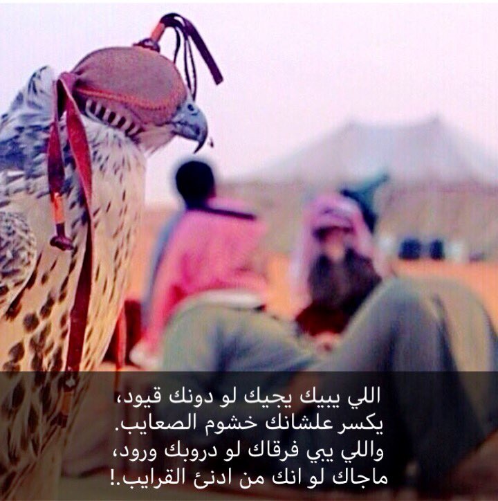 m140718's tweet photo. اللي يبيك يجيك لو دونك قيود،
يكسر علشانك خشوم الصعايب.
واللي يبي فرقاك لو دروبك ورود،
ماجاك لو انك من ادنئ القرايب.! https://t.co/hSLUePucWM