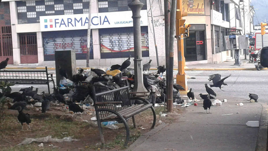 RevoConLeonel's tweet photo. #ConLeonelGanaMerida Un Candidato Joven Con Muchas Ganas de Recuperar al Municipio Libertador, Ya BASTA de Tanta Basura en la Calle Generada Por Esta Alcaldía Mal Gerenciada. Vamos Todos Con @leoneljmatos @NicolasMaduro @TareckPSUV @JauaMiranda @dcabellor @MervinMaldonado https://t.co/2NJ14VCFhF