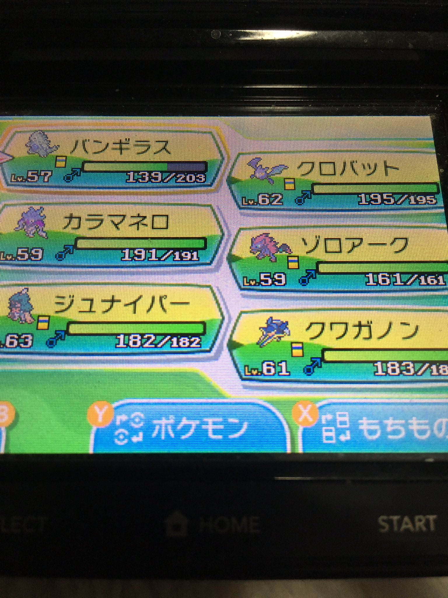 スノウ 400x 最初 このポケモン かわいい 育てる ってなって育ててたんですけどバンギラスと推しのクロバットはともかく 他のポケモン達が揃いも揃って悪役のそれって感じのポケモン に進化してしまって もうここまできたら悪役の手持ち極めたいんです