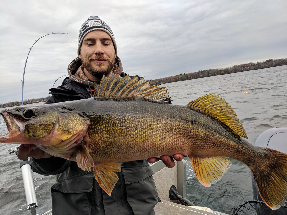 Another #purple secret LXD #victim with <a href="/Crazy_Yankee_SF/">Captain Richard Hajecki</a> 

#walleye