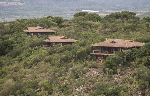 KariegaGameRes's tweet photo. Did you know that each of our #MainLodge chalets has a private viewing deck?
How much time did you spend on your deck while on #safari? https://t.co/Xx8Ce88MsR
