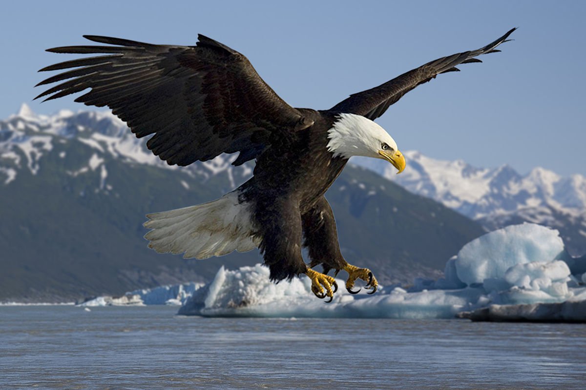 EaglesPrep's tweet photo. New Era New Beginning Flight 18 send your game film to @coach_dwoods @Burke_Von #Flight337 Ready for Takeoff https://t.co/RuLRknPR3j