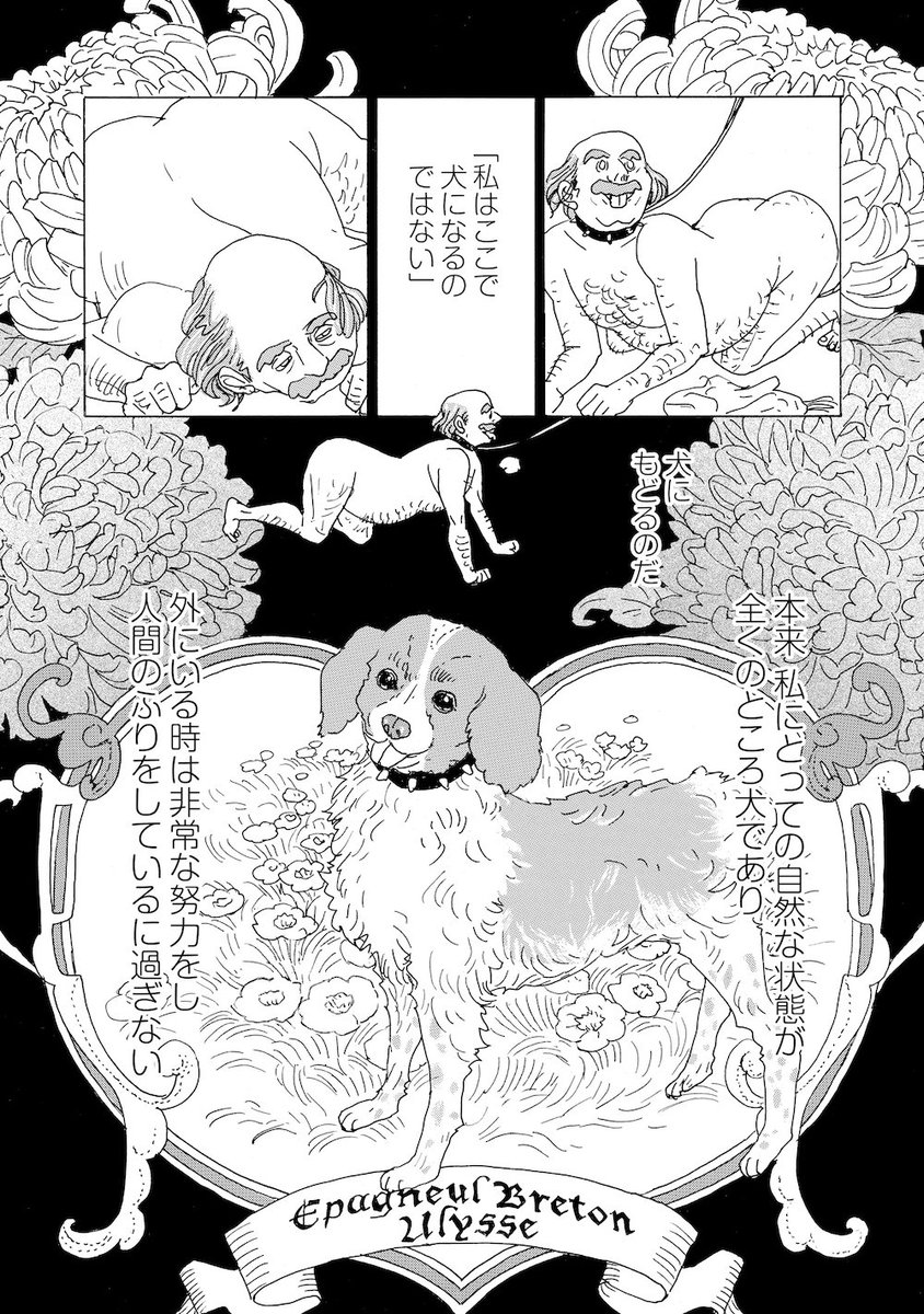 【12月5日まで鼻下長の最新話を無料公開中!】

今夜の変態紳士は、娼館で「犬に戻る」男。
そしてレオンが死んだと聞かされたコレットは…?
ちなみにこの犬種はブルターニュスパニエル。フランスのブルターニュ地方の犬です\(^o^)担当編集(まりも)
アプリから読めます!?https://t.co/H0AFAmYW6p 