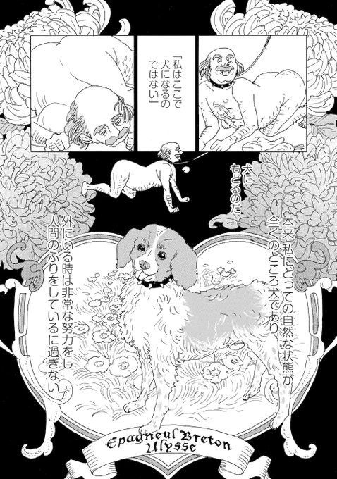 【12月5日まで鼻下長の最新話を無料公開中!】

今夜の変態紳士は、娼館で「犬に戻る」男。
そしてレオンが死んだと聞かされたコレットは…?
ちなみにこの犬種はブルターニュスパニエル。フランスのブルターニュ地方の犬です\(^o^)担当編集(まりも)
アプリから読めます!?https://t.co/H0AFAmYW6p 