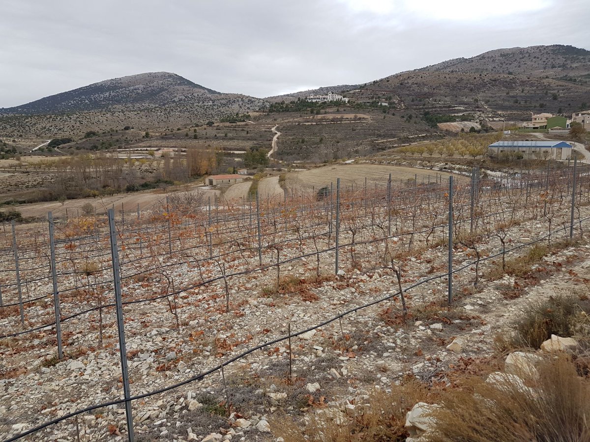 Ayer disfrutamos del proyecto #Vinazares en los que conocimos unos vinos muy especiales, desde los viñedos más altos de Europa, situados en #Inazares. Gracias por todo!!