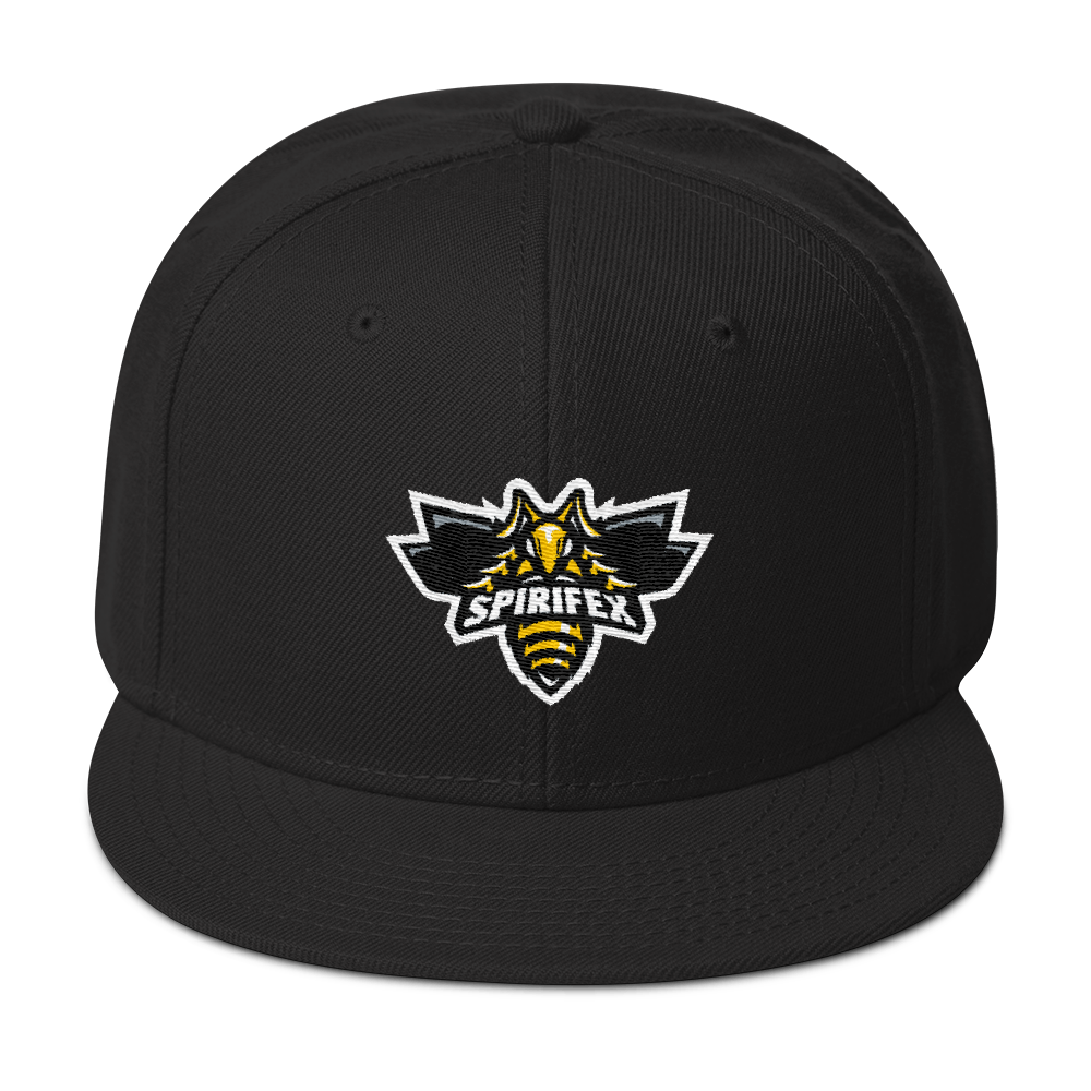 SpirifexGG's tweet photo. Our friends at @Dombai_Europe are still having Black Friday sales. For that reason, we announce our alternate player jersey along with a new line of caps! Now is the time to shop your #Spirifex gear ready to be shipped to arrive before christmas! @ https://t.co/7DPcylaCUX https://t.co/zvHFSSxTVE
