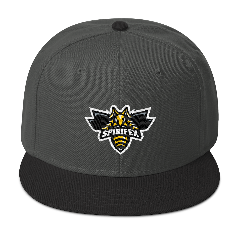 SpirifexGG's tweet photo. Our friends at @Dombai_Europe are still having Black Friday sales. For that reason, we announce our alternate player jersey along with a new line of caps! Now is the time to shop your #Spirifex gear ready to be shipped to arrive before christmas! @ https://t.co/7DPcylaCUX https://t.co/zvHFSSxTVE