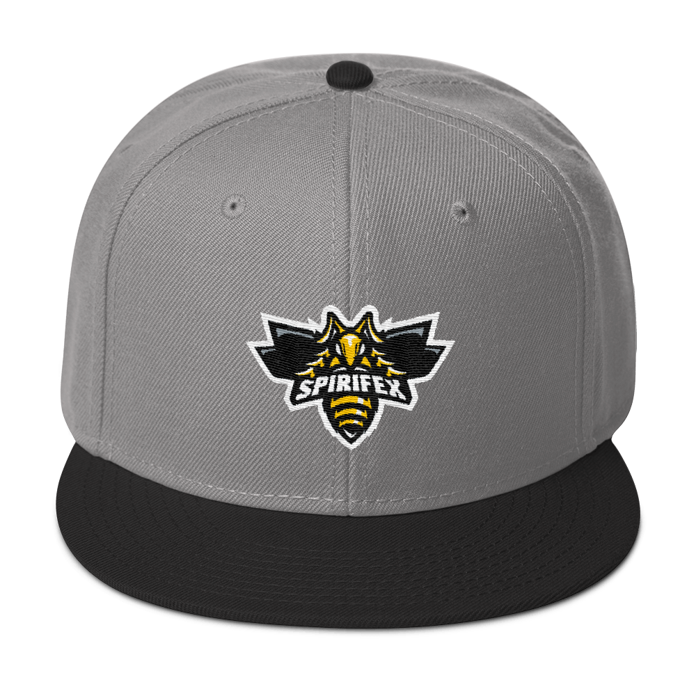 SpirifexGG's tweet photo. Our friends at @Dombai_Europe are still having Black Friday sales. For that reason, we announce our alternate player jersey along with a new line of caps! Now is the time to shop your #Spirifex gear ready to be shipped to arrive before christmas! @ https://t.co/7DPcylaCUX https://t.co/zvHFSSxTVE