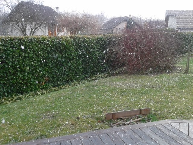 yetidevins's tweet photo. 1ère neige de la saison. Ne tient pas au sol. Chutes plus abondantes prévues en fin de semaine. https://t.co/wSQ3Yx2NAG
