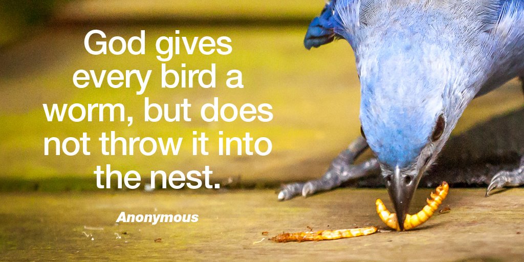 God gives every bird a worm, but... | #Startup #Entrepreneur #Success #MakeYourOwnLane #defstar5 #mpgvip #Quotes