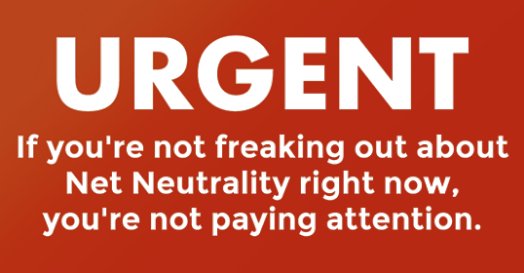 Roger Duck tweet media