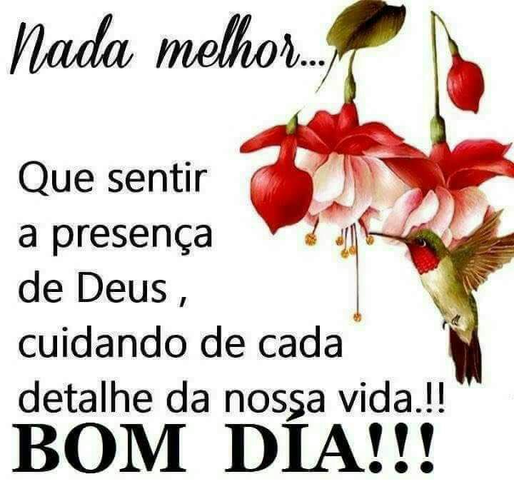 Naldo Sousa#Beta Lab (@naldosousa55) on Twitter photo 