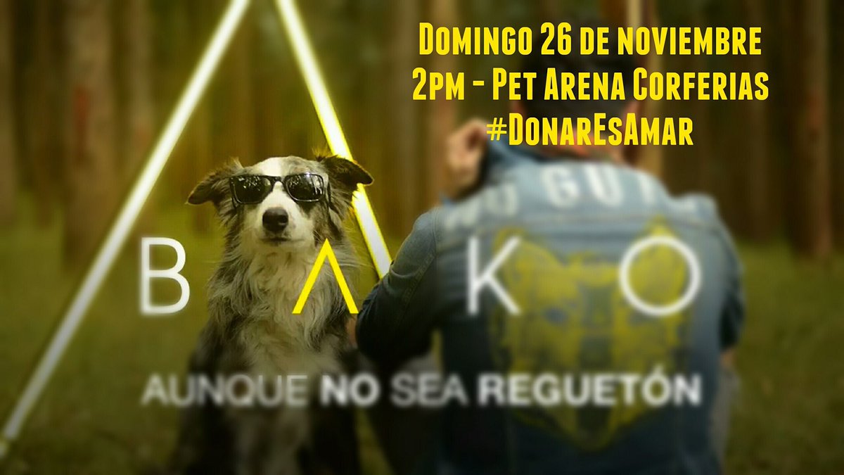 animaliuspyba's tweet photo. Acompáñanos HOY en el último día de EXPOPET aprovecha los servicios del IDPYBA y solidarízate con donación de alimento para animales en condición de calle, rescatados y en refugios entre otros. 2 pm/ PET ARENA- CORFERIAS. Asiste!!! #Animalius, #DerechoAnimal https://t.co/8e8SjJ6Rjf