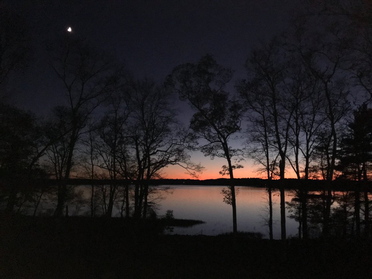 GodBlessUSofA's tweet photo. #JesusIsLord  Jesus is Lord! 
11 Let the heavens rejoice, let the earth be glad; let the sea resound, and all that is in it. 12 Let the fields be jubilant, and everything in them; let all the trees of the forest sing for joy.
Psalm 96:11-12 https://t.co/1fAKHVGXG5