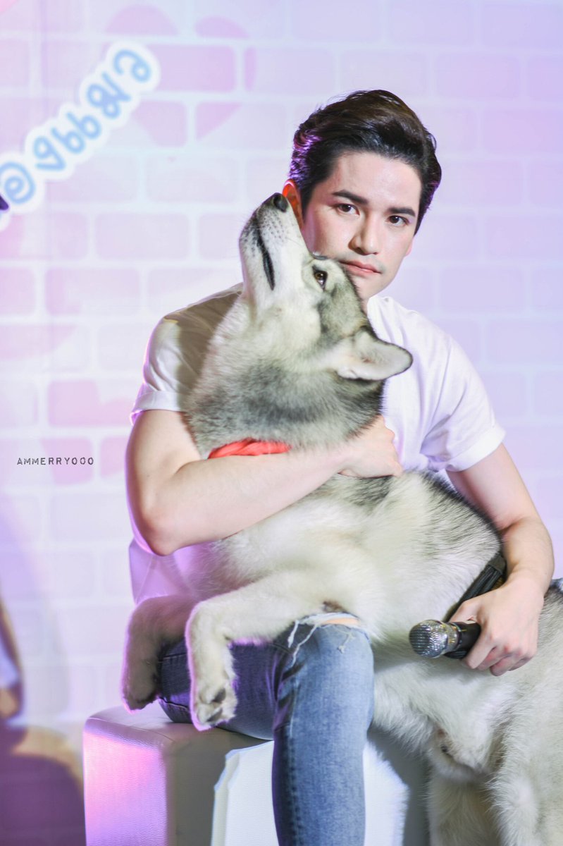 ammerryo0o's tweet photo. โอ๊ยยยยยน่ารักไปอี๊กกกก ไม่รู้ใครน่ารักกว่ากัน😂 #taophiangphor #myshiro28 #ammerryo0o_T https://t.co/WolqnGWHgG