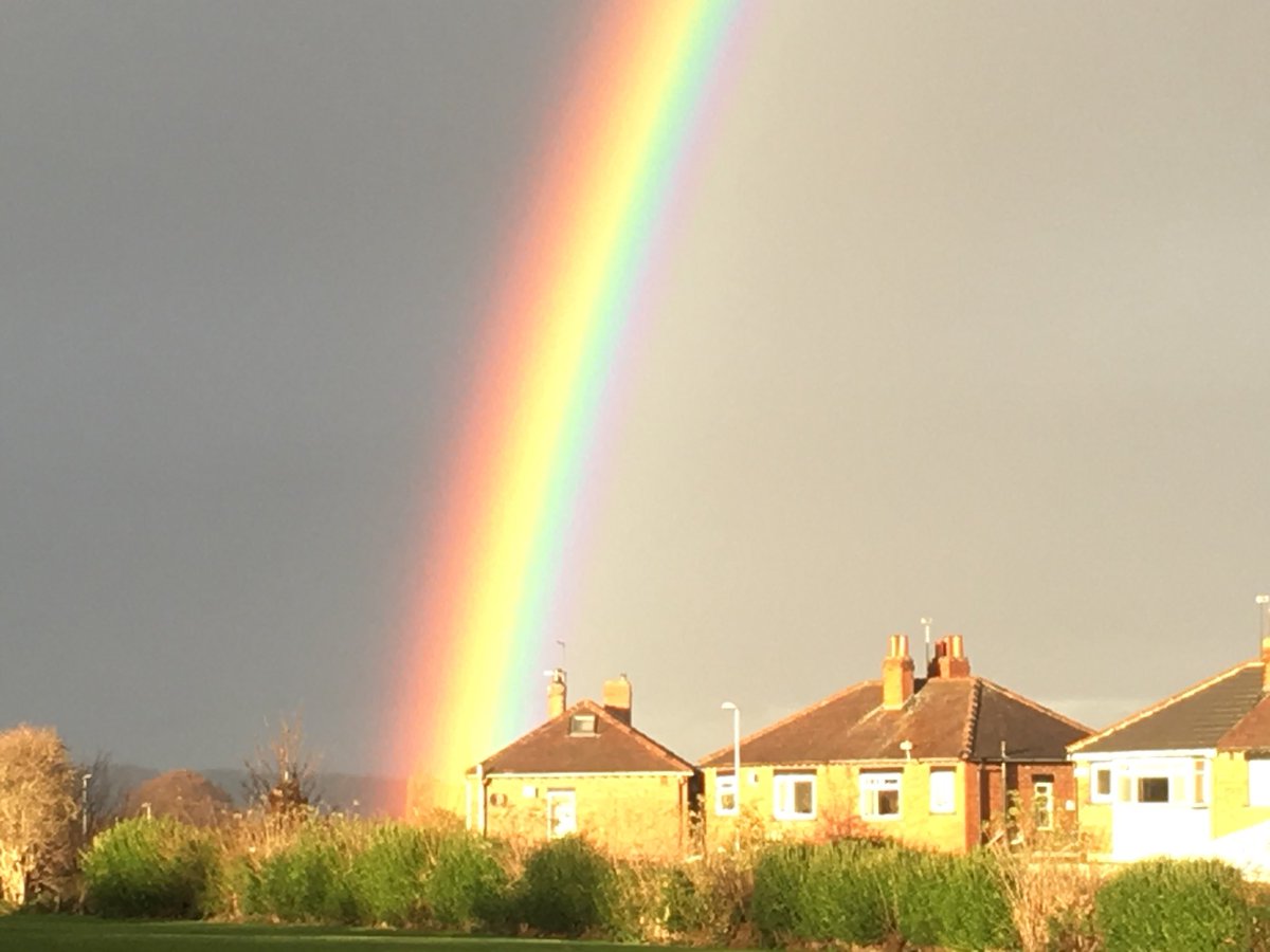 Emma Bearman tweet media