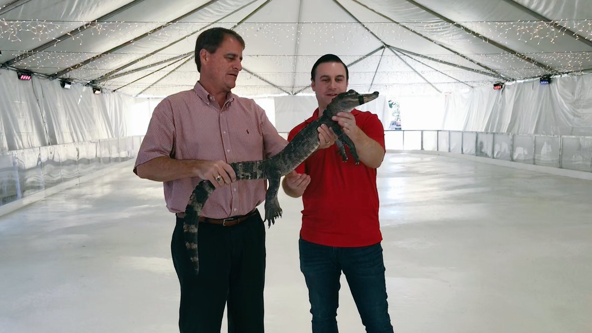 Scales and skates. 🐊⛸ #PanthersInThePark https://t.co/u4FpDjp5jv