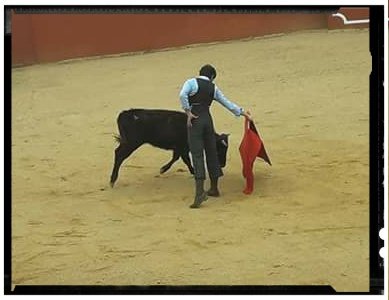 fincatriana's tweet photo. Comienza la preparación...donde el toreo no tiene prisas.
#campo #Extremadura #JuanManuelJimenez https://t.co/N0ov6185GR