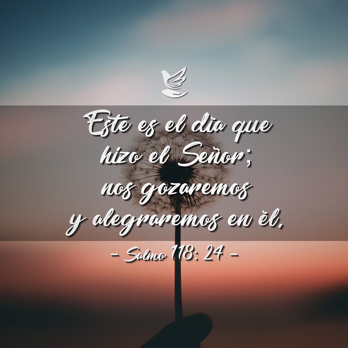 miiglesiausa's tweet photo. Este es el día que hizo el Señor; nos gozaremos y alegraremos en Él... Salmo 118:24
#amor #love #gozarnos #alegrarnos #dadgracias #miiglesia https://t.co/2d6wsOBBpl