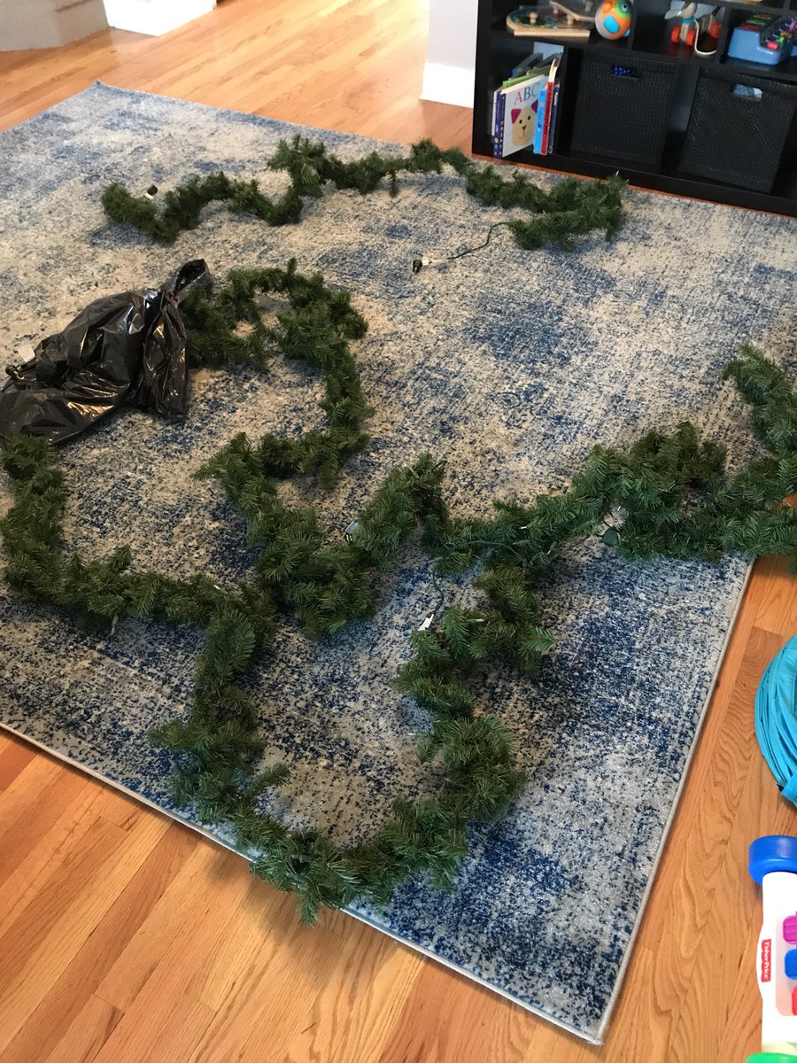 Eli Gratz tweet media